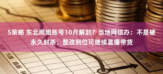 5策略 东北雨姐账号10月解封？当地网信办：不是被永久封杀，整改到位可继续直播带货