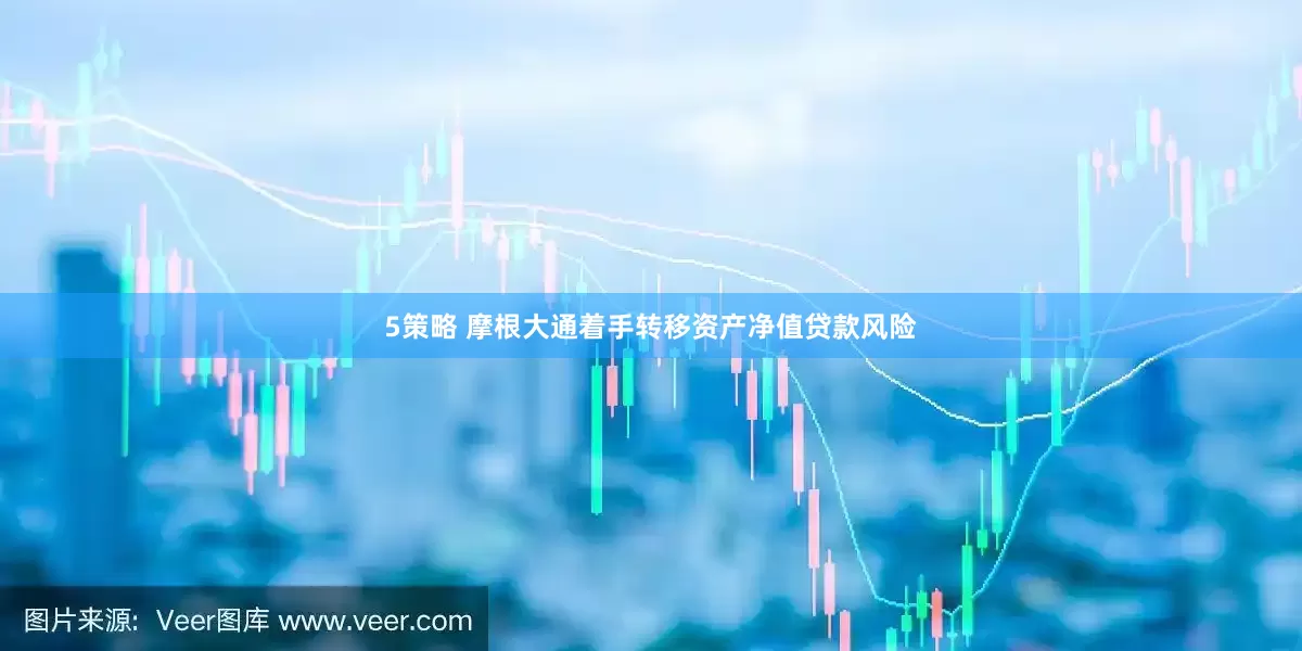 5策略 摩根大通着手转移资产净值贷款风险